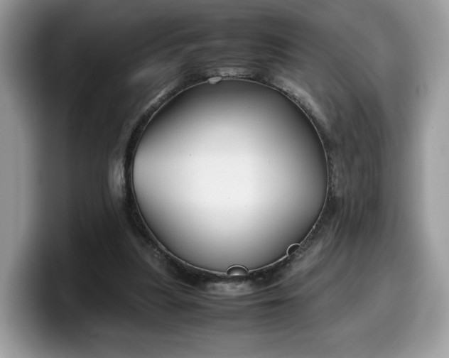 X0000099570251200805301546