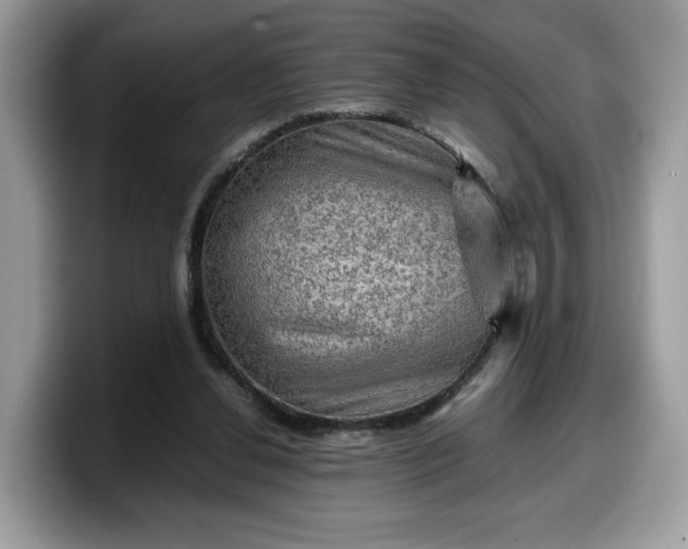 X0000099570252200805301546