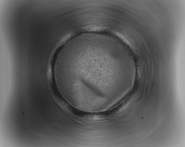 X0000099570254200805301546