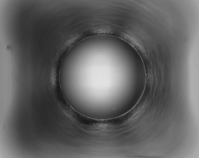 X0000099570255200805301546