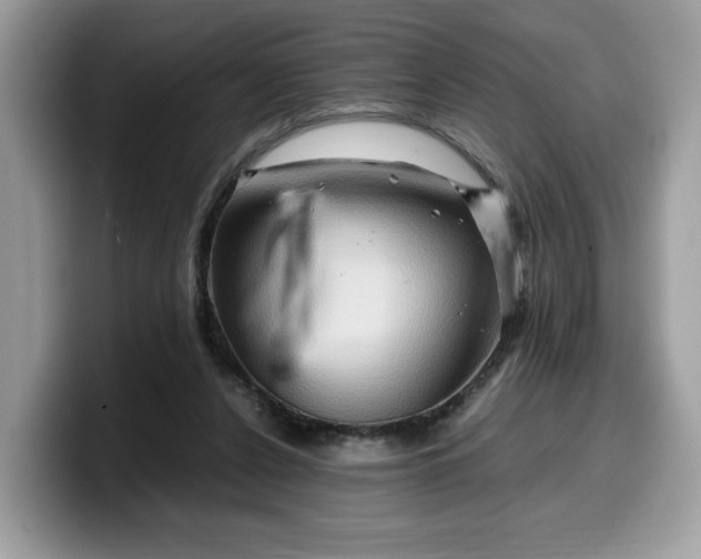 X0000099570256200805301546