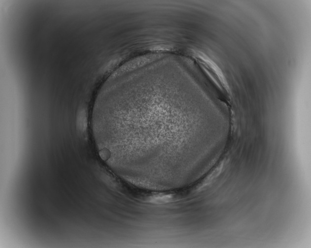X0000099570257200805301546