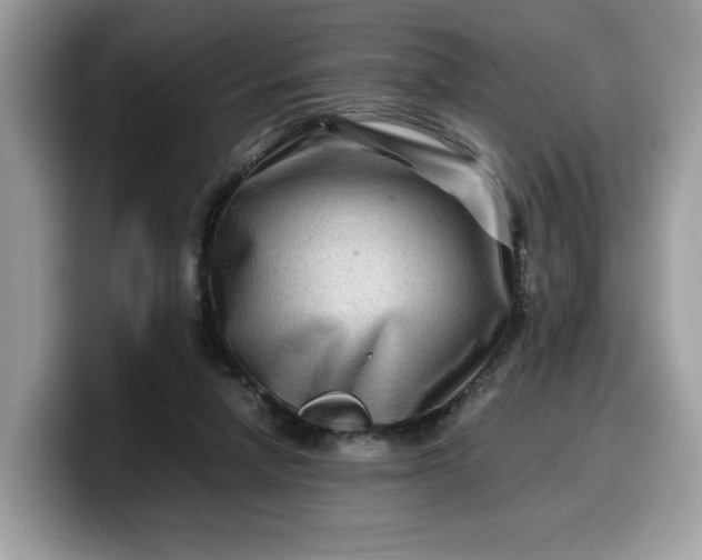 X0000099570258200805301546
