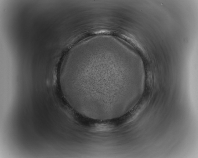 X0000099570259200805301546