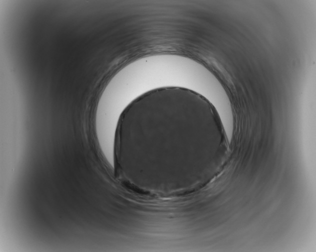 X0000099570260200805301546