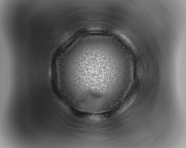 X0000099570261200805301546