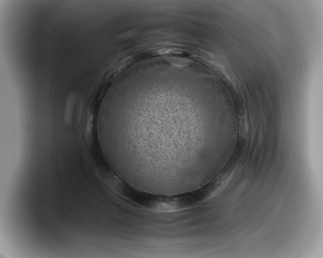 X0000099570263200805301546