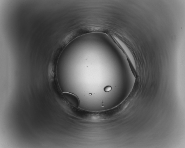 X0000099570264200805301546