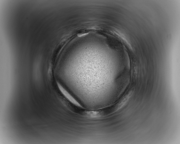 X0000099570265200805301546