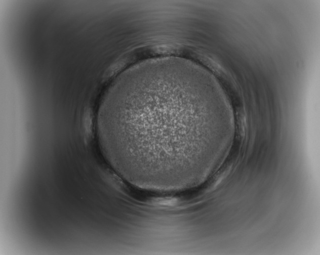 X0000099570266200805301546