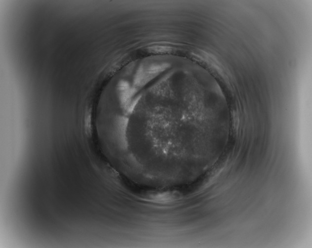 X0000099570267200805301546