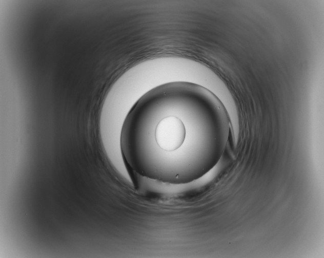 X0000099570268200805301546