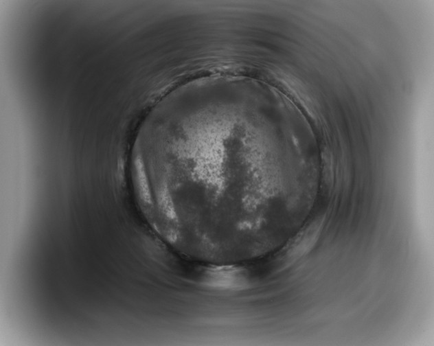 X0000099570269200805301546