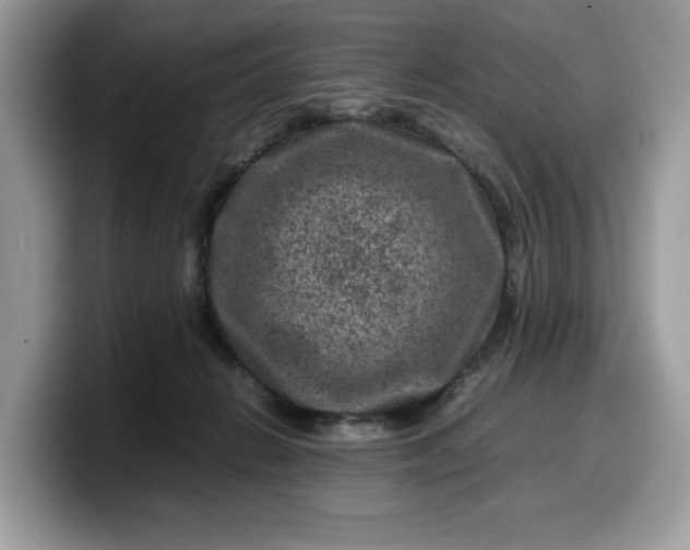 X0000099570270200805301546