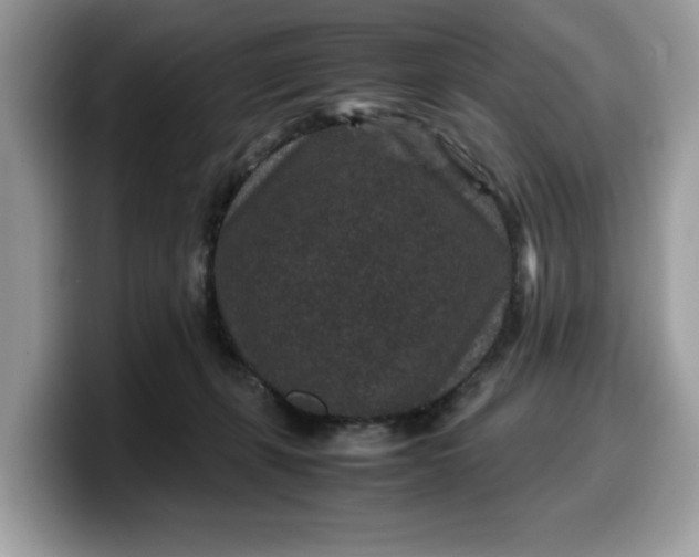 X0000099570271200805301546