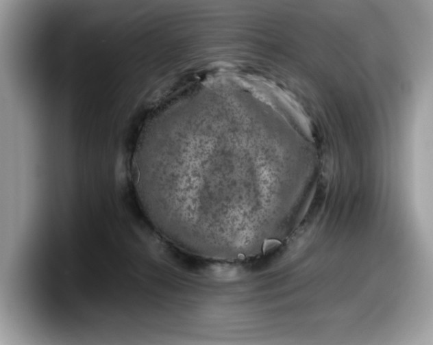 X0000099570272200805301546