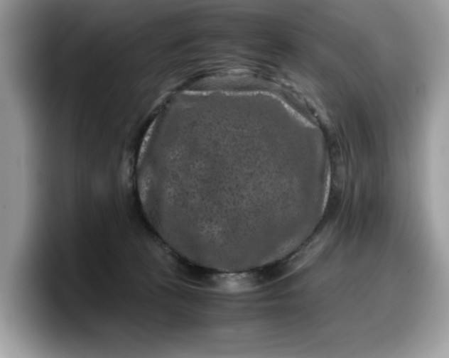 X0000099570273200805301546