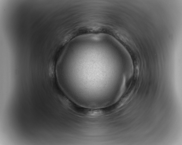 X0000099570274200805301546