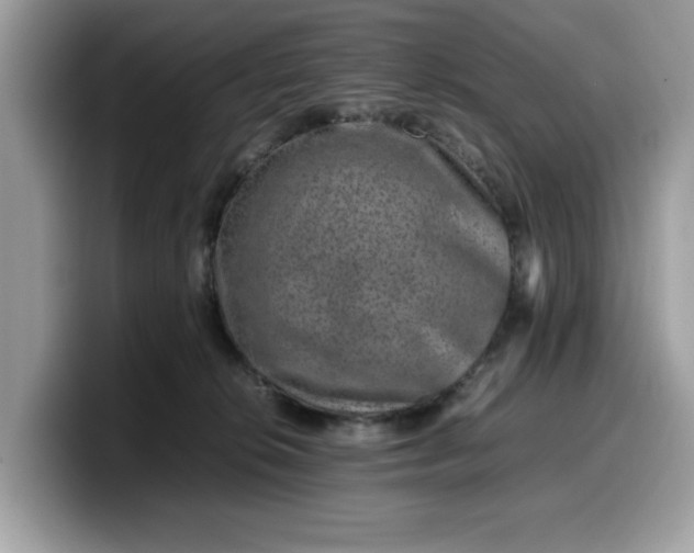 X0000099570276200805301546