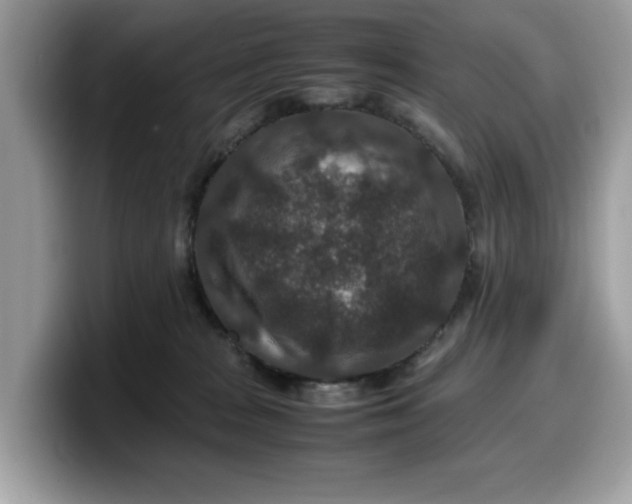 X0000099570277200805301546