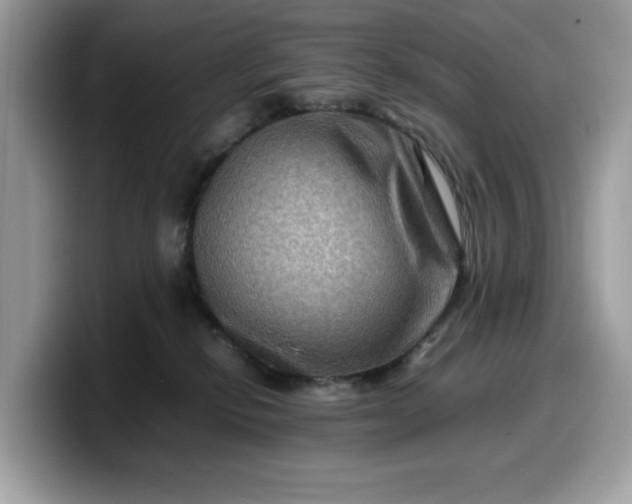 X0000099570278200805301546