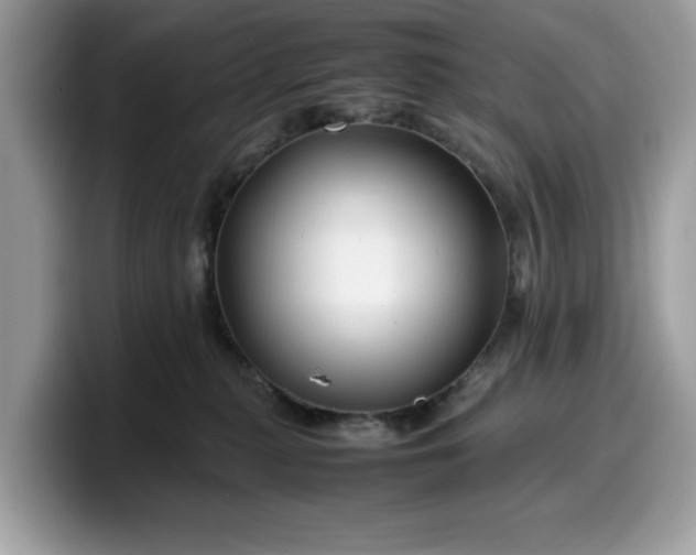 X0000099570279200805301546