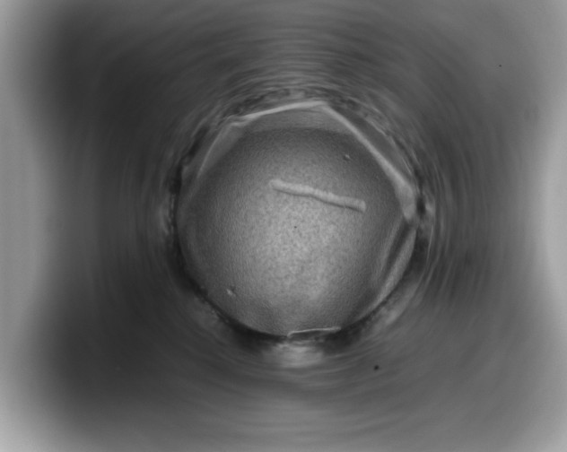 X0000099570280200805301546