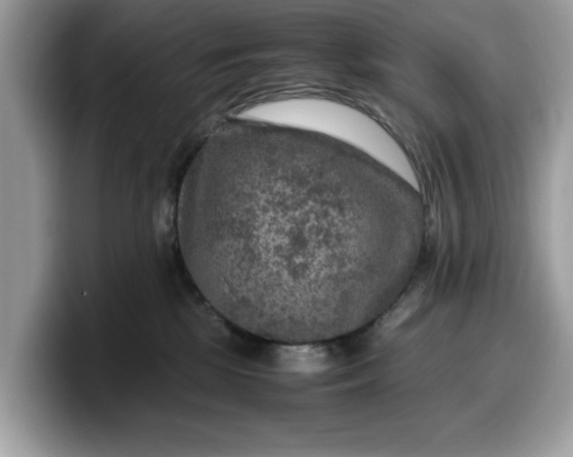 X0000099570281200805301546
