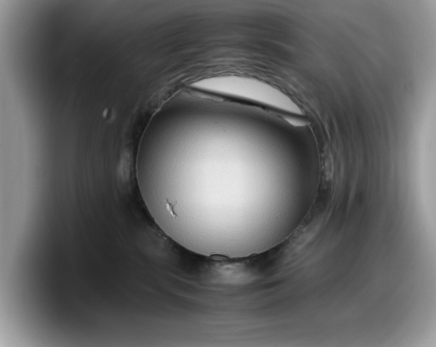 X0000099570283200805301546