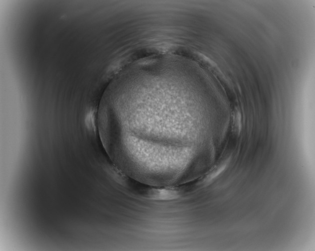 X0000099570286200805301546