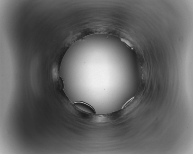 X0000099570287200805301546