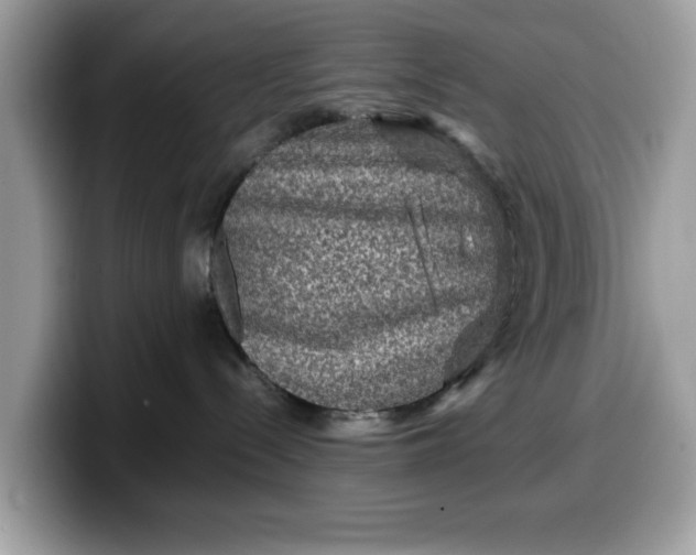 X0000099570288200805301546