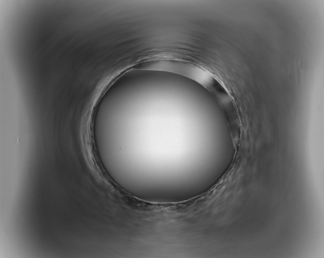 X0000099570289200805301546