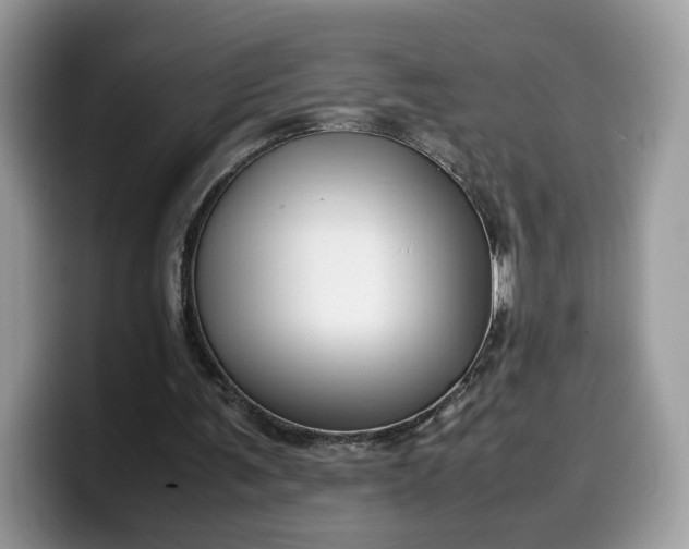 X0000099570291200805301546
