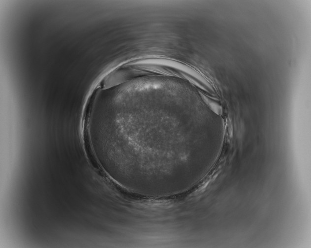 X0000099570292200805301546