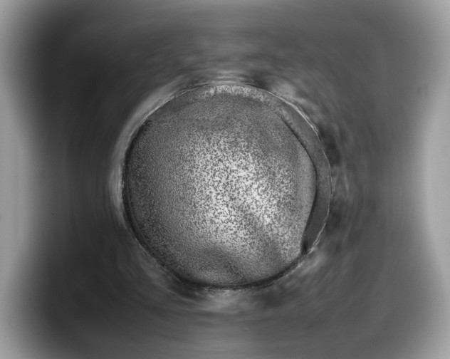 X0000099570293200805301546