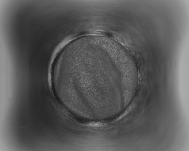 X0000099570294200805301546