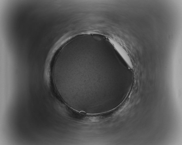 X0000099570295200805301546