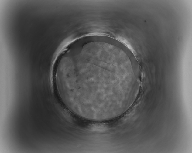 X0000099570296200805301546