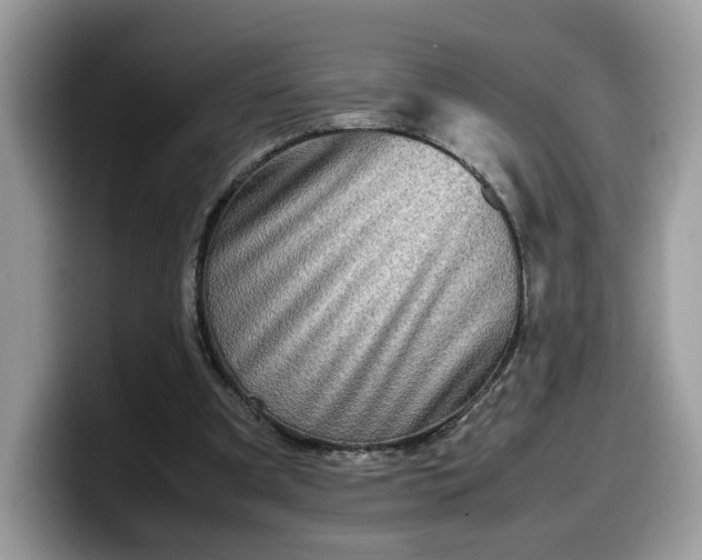 X0000099570297200805301546