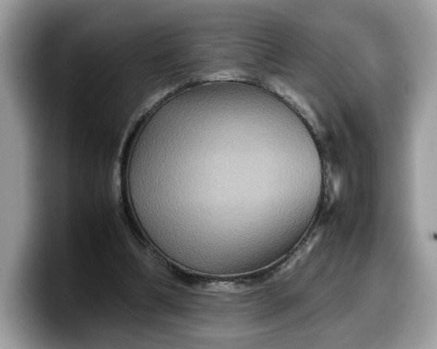 X0000099570298200805301546
