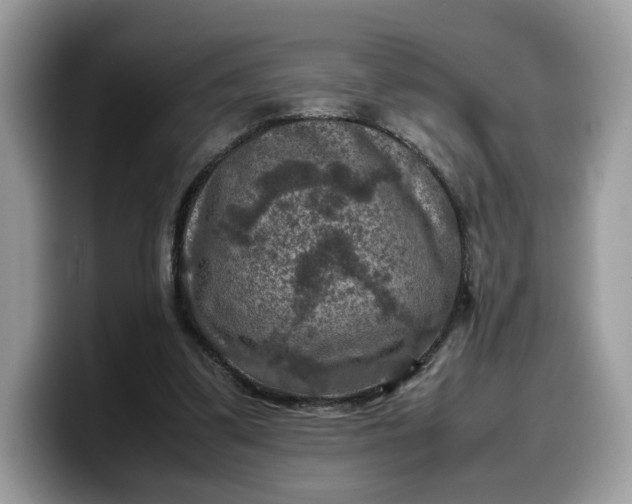 X0000099570299200805301546