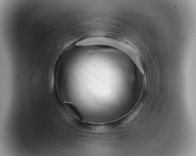 X0000099570301200805301546