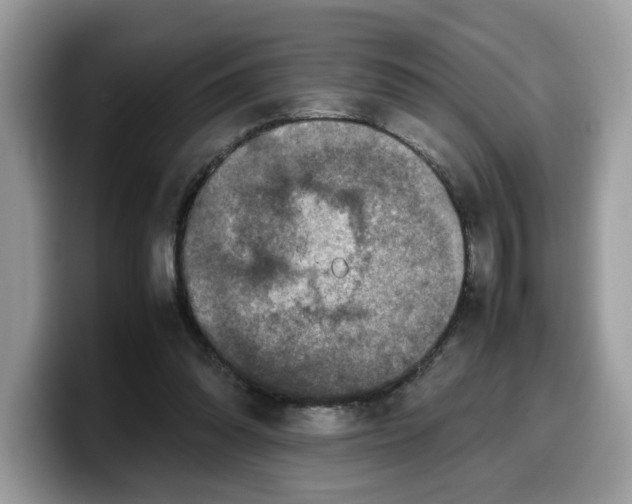 X0000099570302200805301546