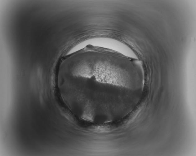 X0000099570303200805301546