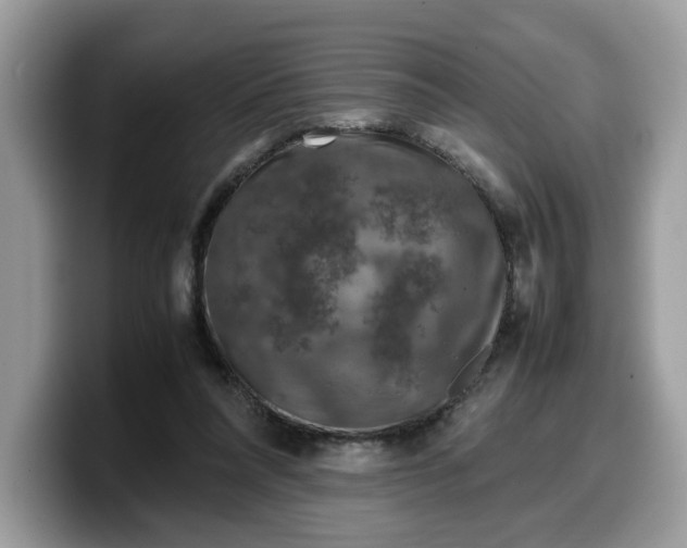 X0000099570304200805301546