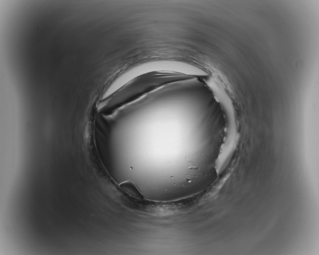 X0000099570305200805301546