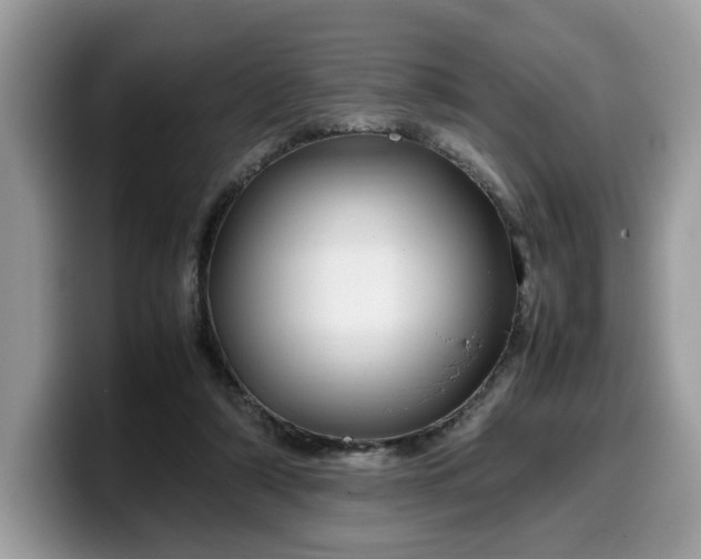X0000099570306200805301546