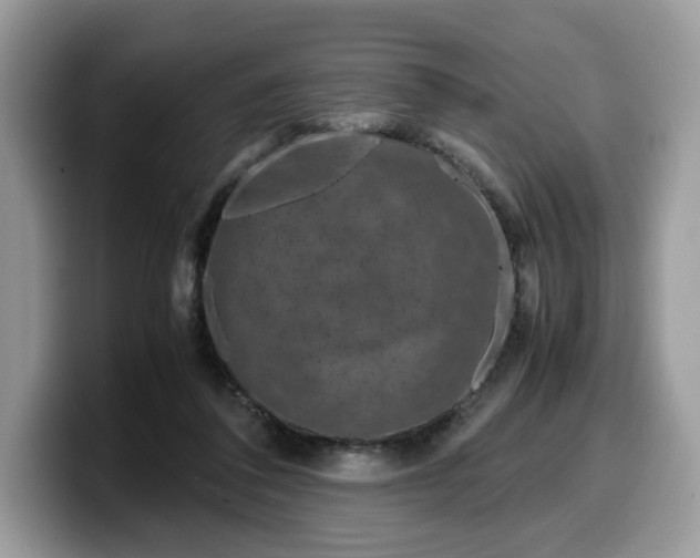X0000099570308200805301546