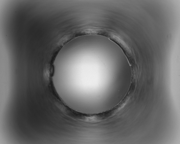 X0000099570309200805301546